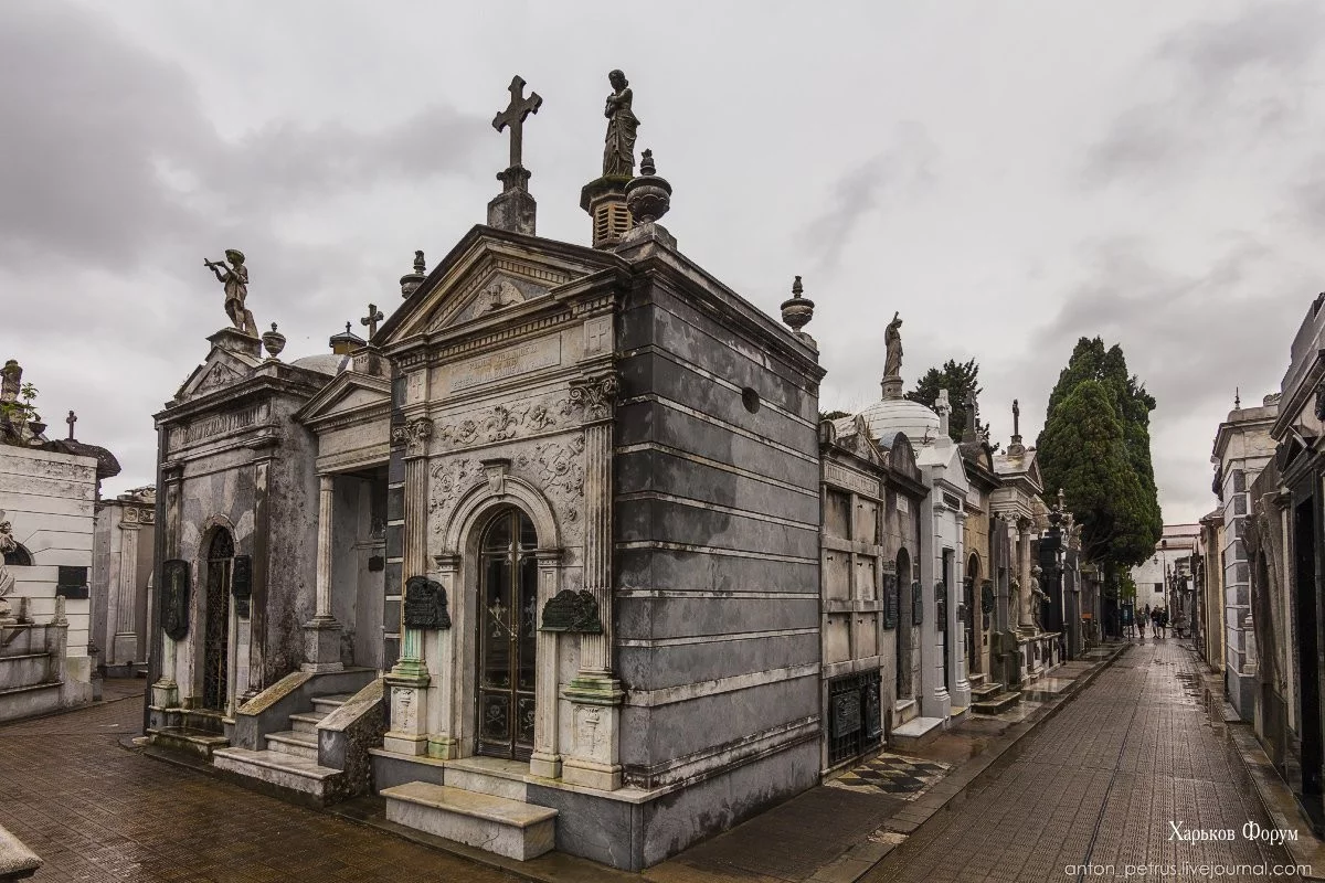 bada11c34ef24bf1e88.webp