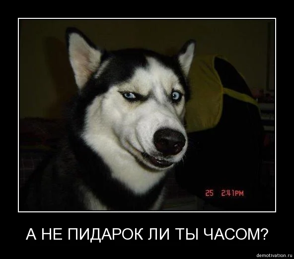 baf88eb9d4dfb7c682a8b5f4703fe083.webp