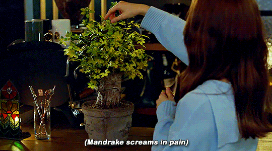 bafc8371f323f0e0de8cf7135fd856ba42a3381e.gif