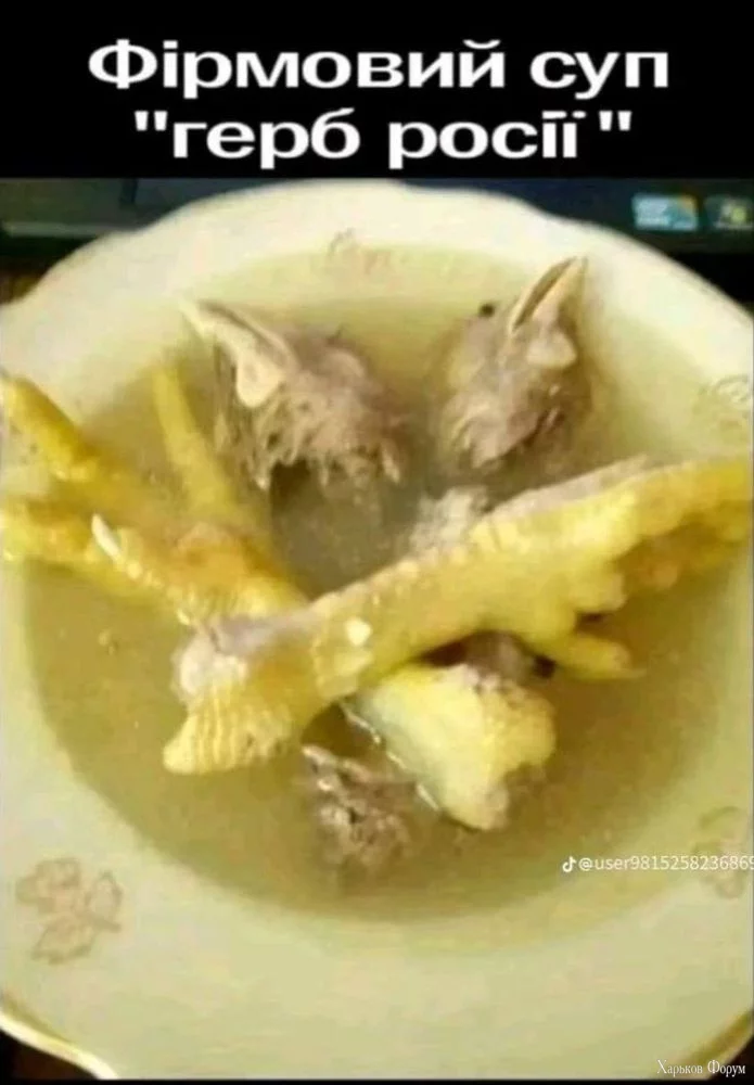 bafkreiccth32zb2vqu5ssfhei6y6yrcwp2j5snc3ojxayyjg6gtmrjo4tq.webp