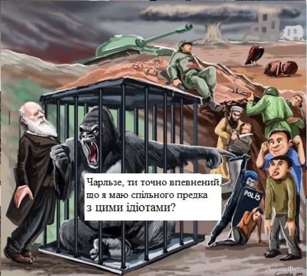 bafkreidgqod6ikdsrnsz644vq7mf3uuhccx3vi5ojuj666knvwcpdeeekq.jpg