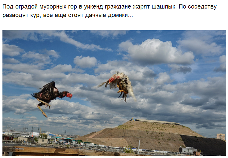 bagh6g.png