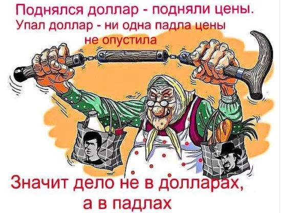 baha8g.webp