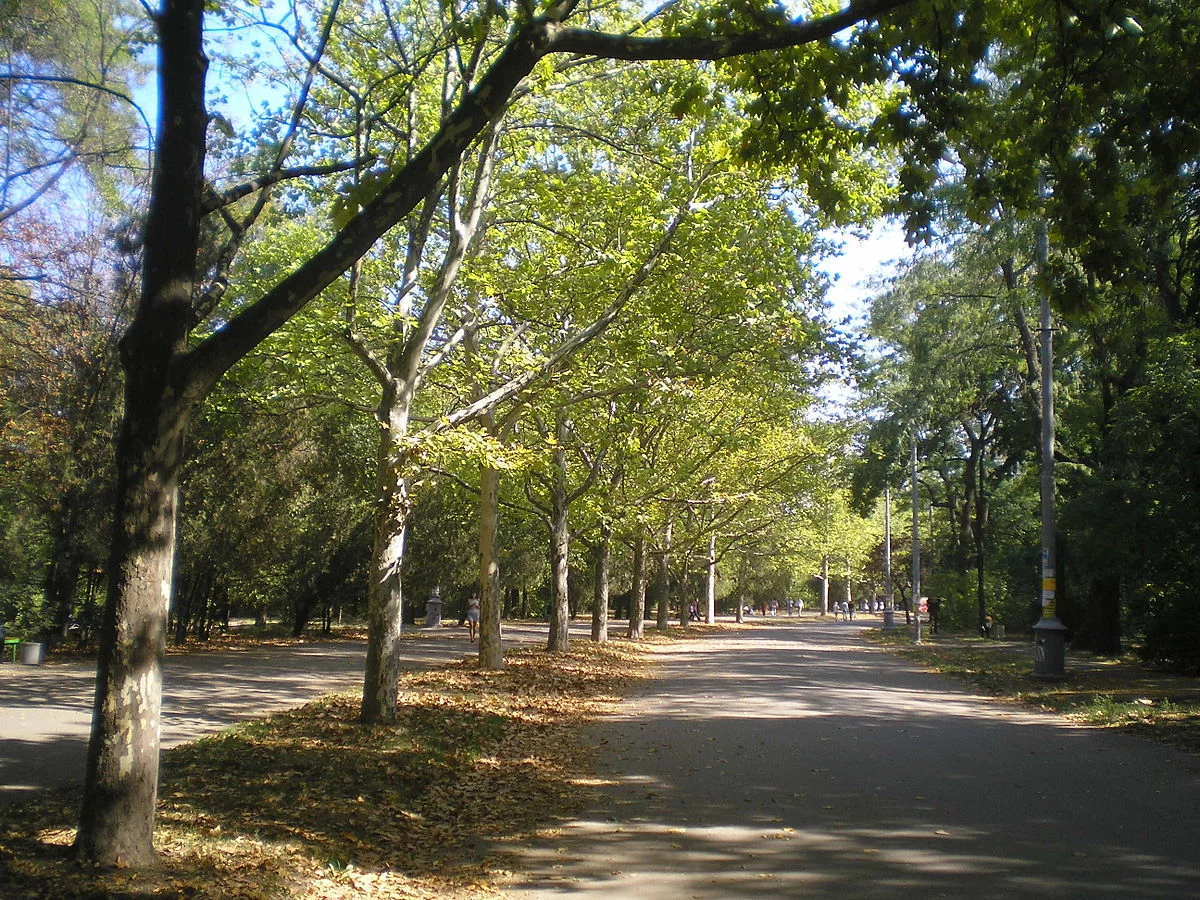 bahe7c.webp
