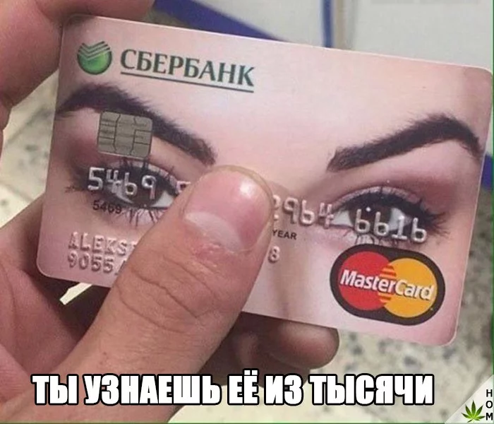 bajdh2.webp