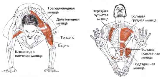 bakasana2.jpg