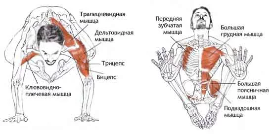 bakasana2.webp