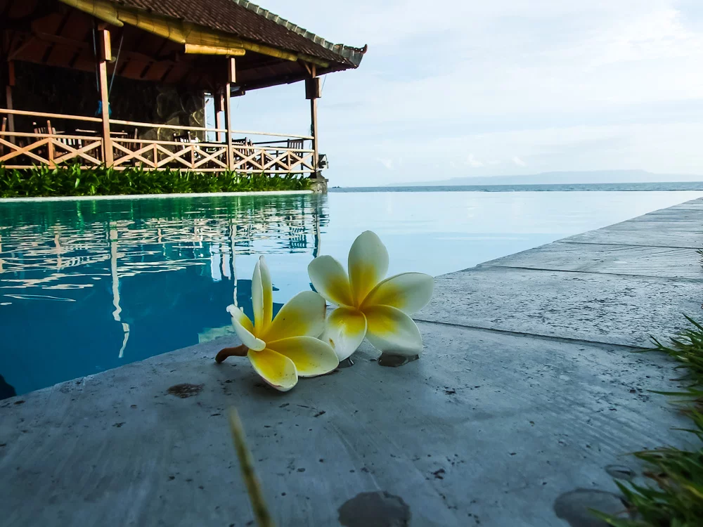 Bali6.webp