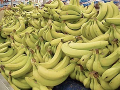Bananas.larger.webp