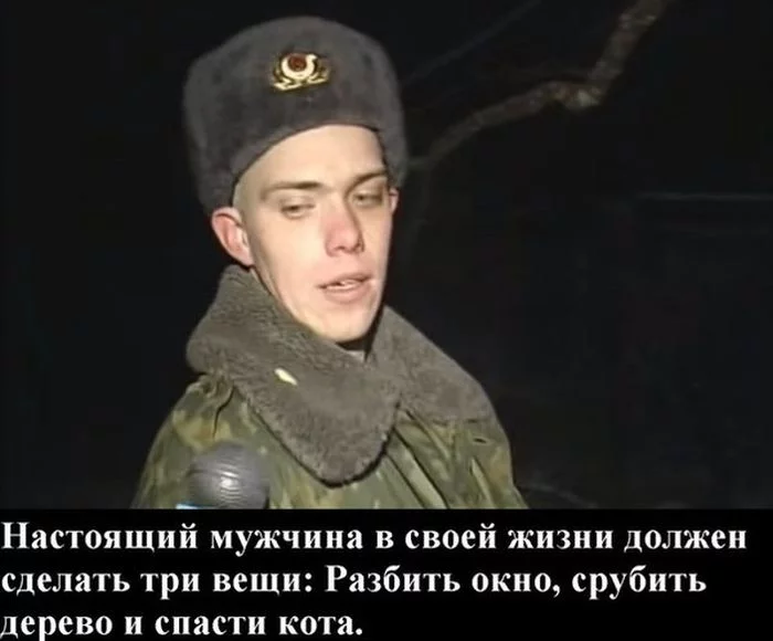 barsik_19.webp