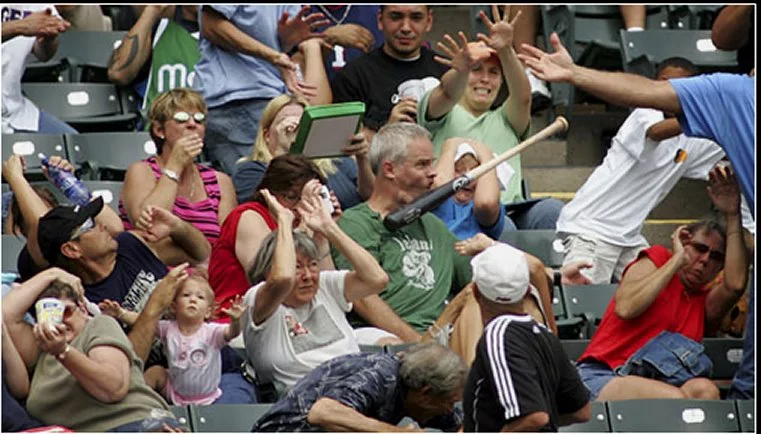 Bat_outta_hell.0.webp