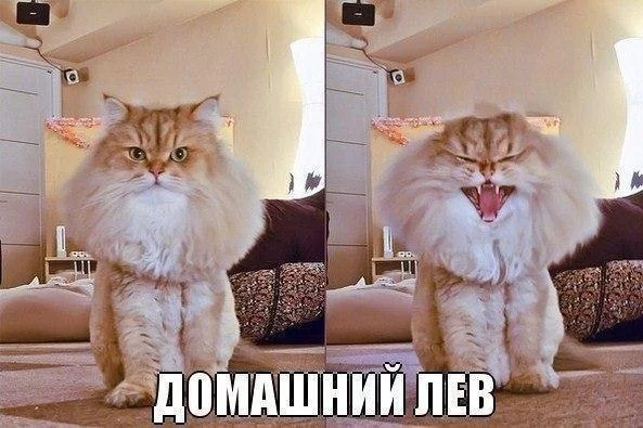 bAUP9PPEeyw.webp