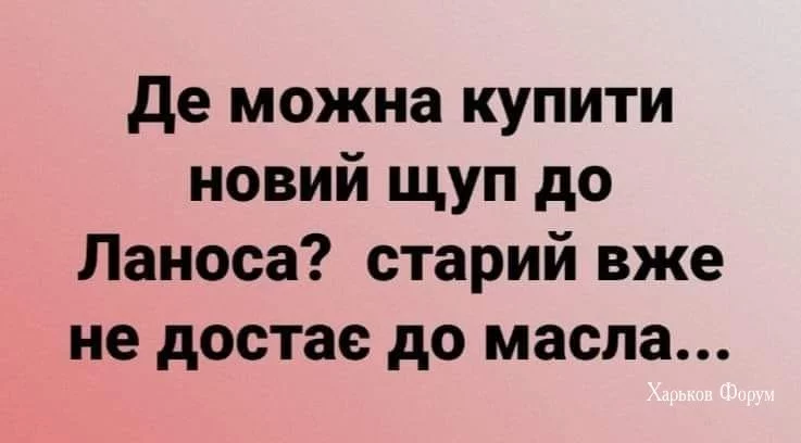 bb00bed296cb3228c7.webp