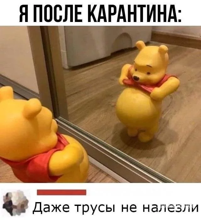bb03807213db762a.webp