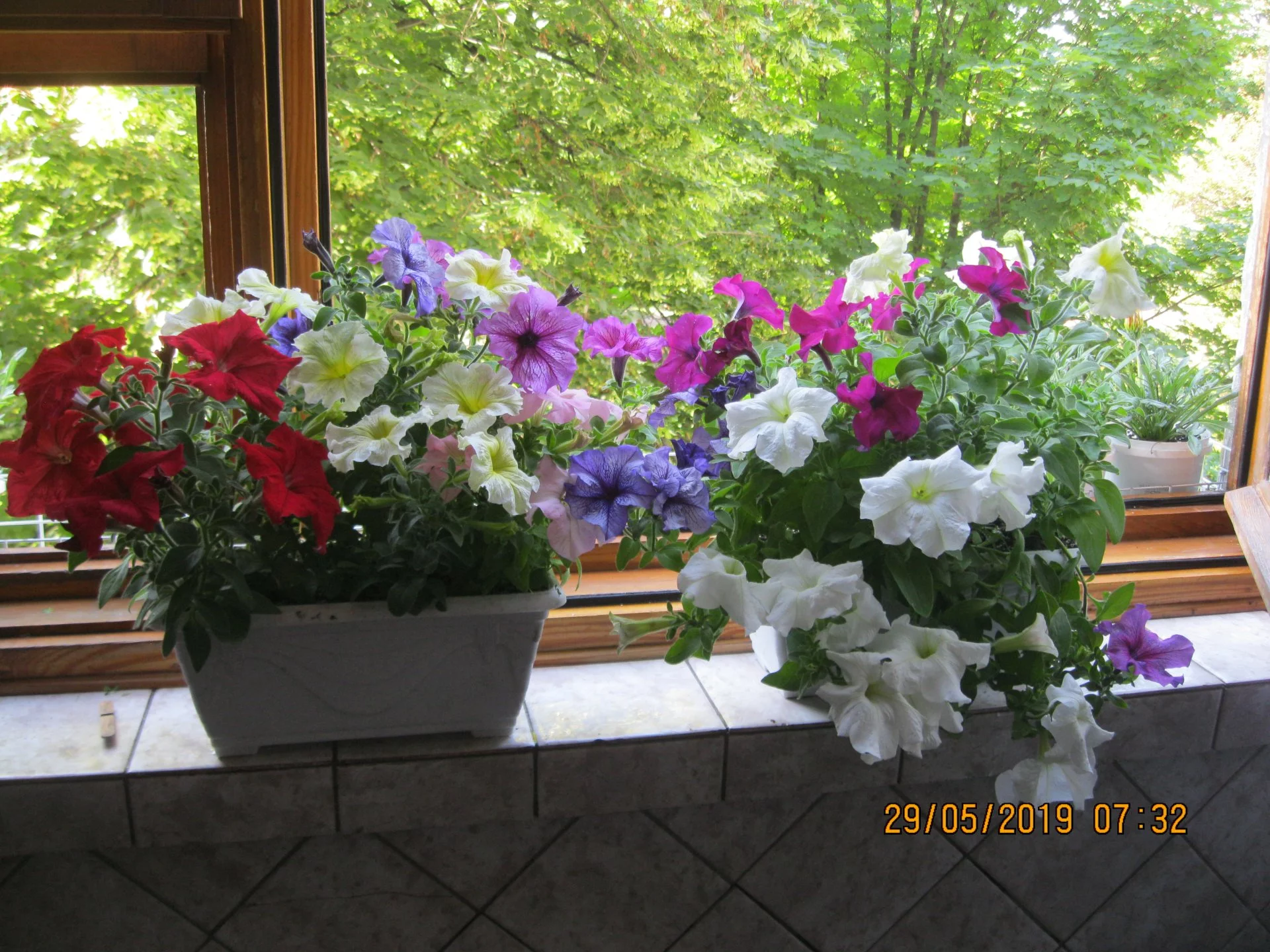 bb0aaf.webp