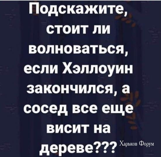 bb0b7dca8c1d9724.jpg