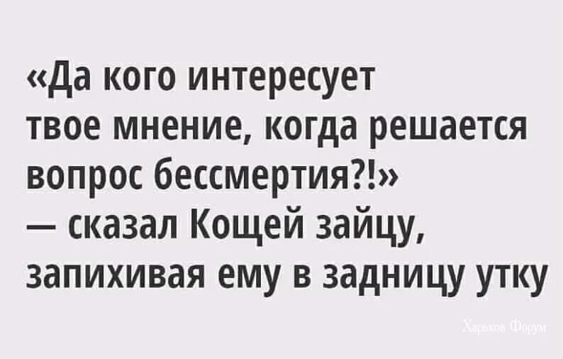 bb102fe775986d065a73.webp