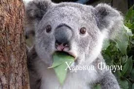 bb1fb581e3a3b7af0a47ba7.webp