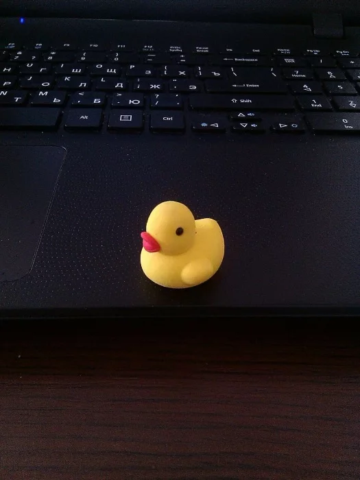 bb1hjc.webp