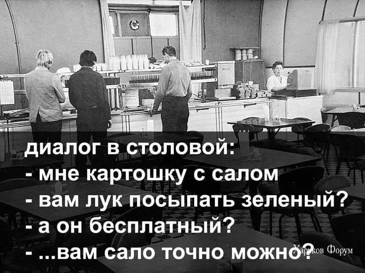 bb256e8527cb1ed33.webp