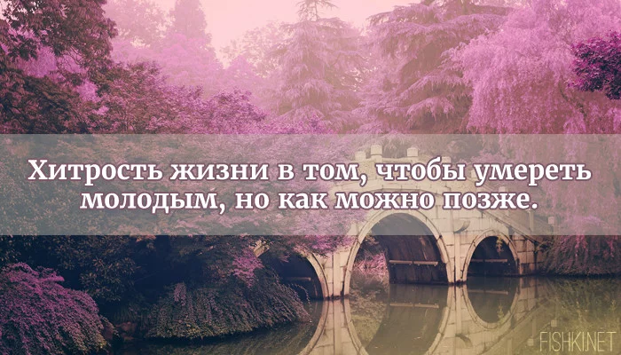 bb5fgf.webp