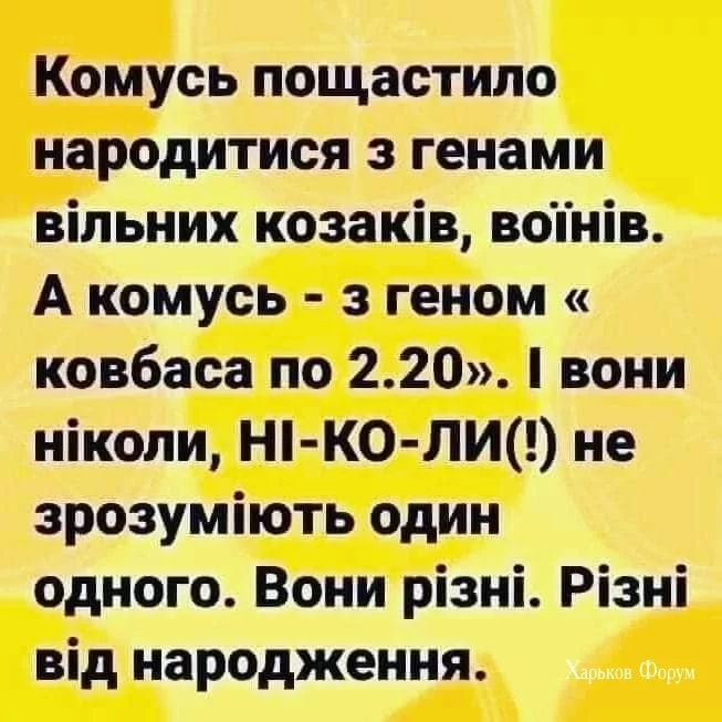 bb84ceb9950eec9cd.webp