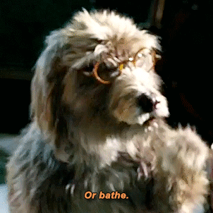 bb88c88ab63ff9ff8534e26d01c0aa7366e33493.gif