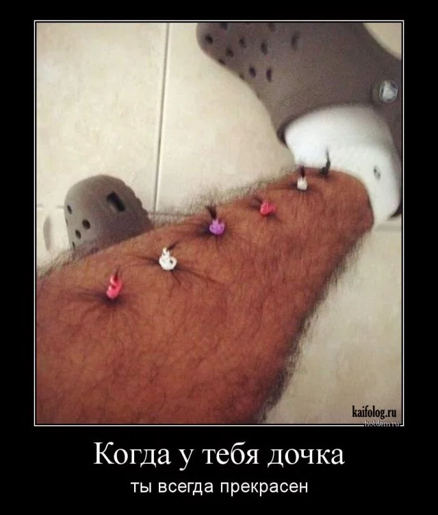 bba7hj.webp