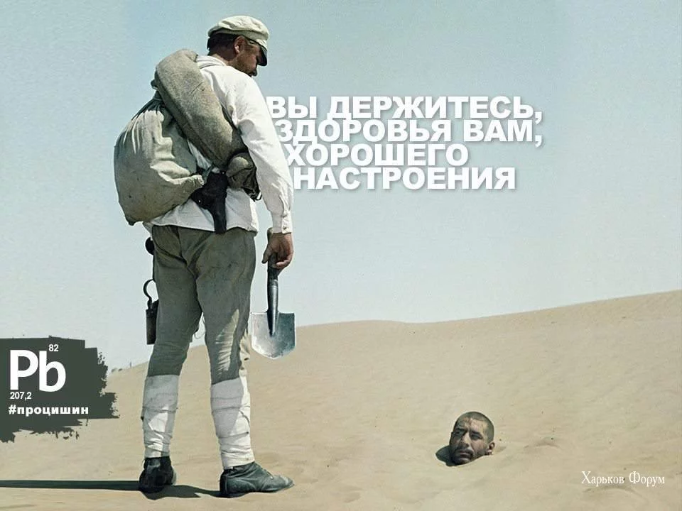 bbb76d67272ce9799fbb7.webp