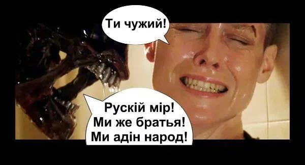 bbbgb7.webp