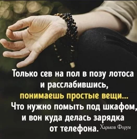 bbd8bfd2d456922115.webp