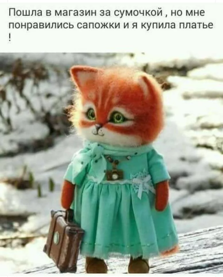 bbdjd8.webp