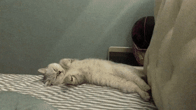 bbea3a.gif