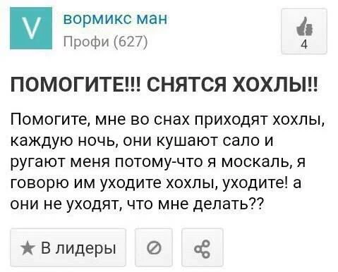 bbfb2g.webp