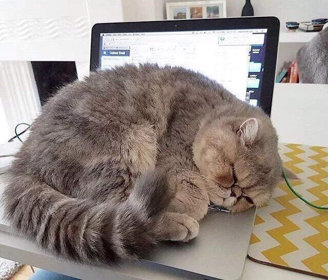 BbLfl0ETxUs.webp