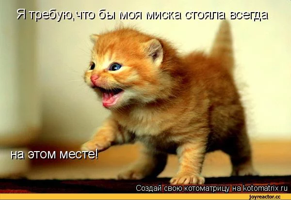 %BC%D0%B0%D1%82%D1%80%D0%B8%D1%86%D0%B0-auto-19674.webp