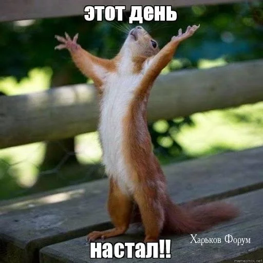 bc0742de96273f1e1fa.webp