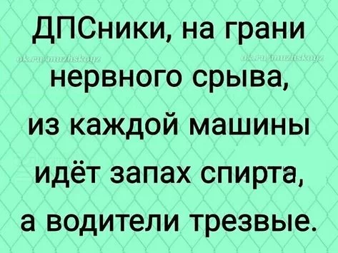 bc090dda89503181ad9fe171e69a40e9.webp