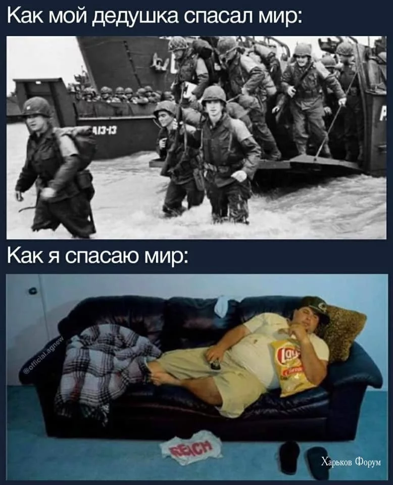 bc0ad54eabac8e141f7b9.webp