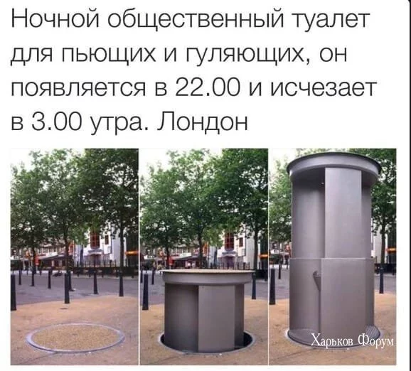 bc0caac31e6d2e2d.webp