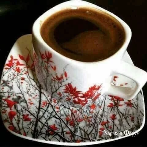 bc0f23d983a3e6667ef.webp