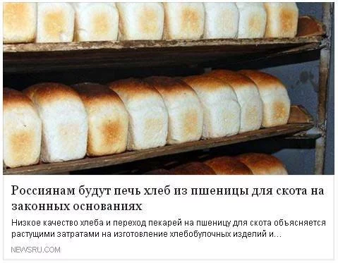 bc0jfj.webp