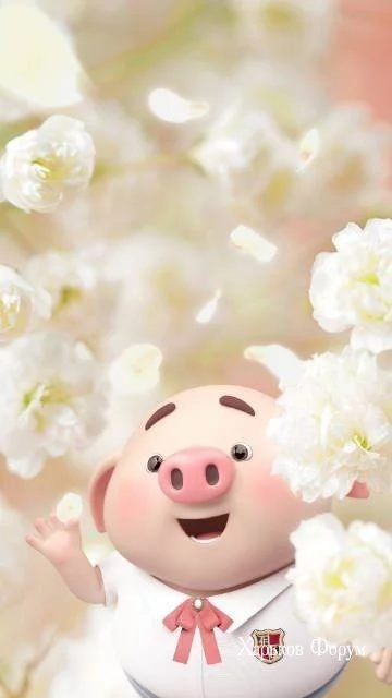 bc1753de95e5ac1b9e34.webp