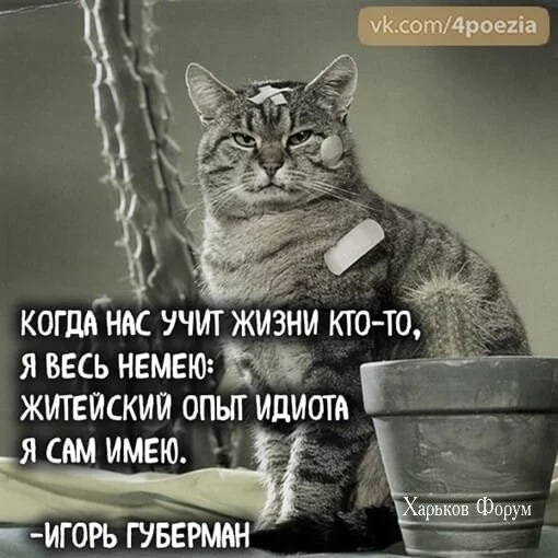 bc17e7ab2ae9671d87.webp