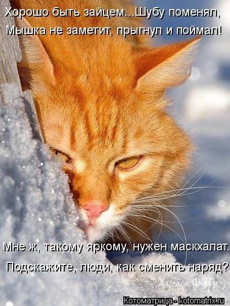 bc3d32bdf0a41e4771c81e2.webp