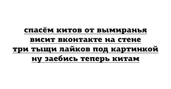 bc4fgc.webp