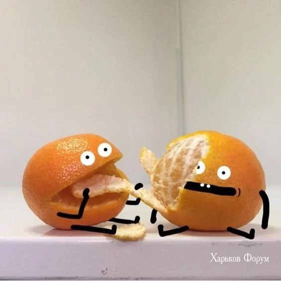 bc6074d5eb4c2d977b8c73.webp