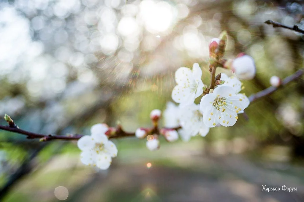 bc7d60d2eac3a3f621e57762.webp