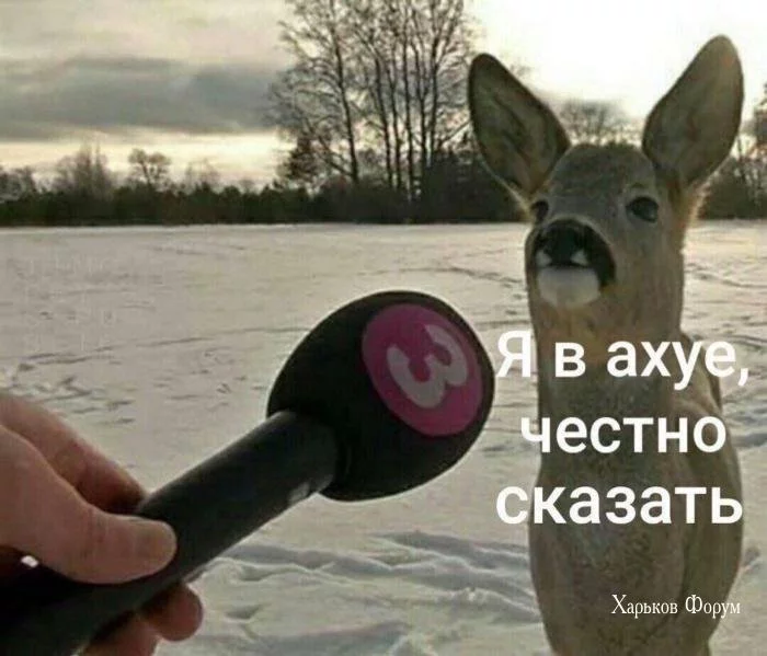 bc8153729f2a109bf391.webp
