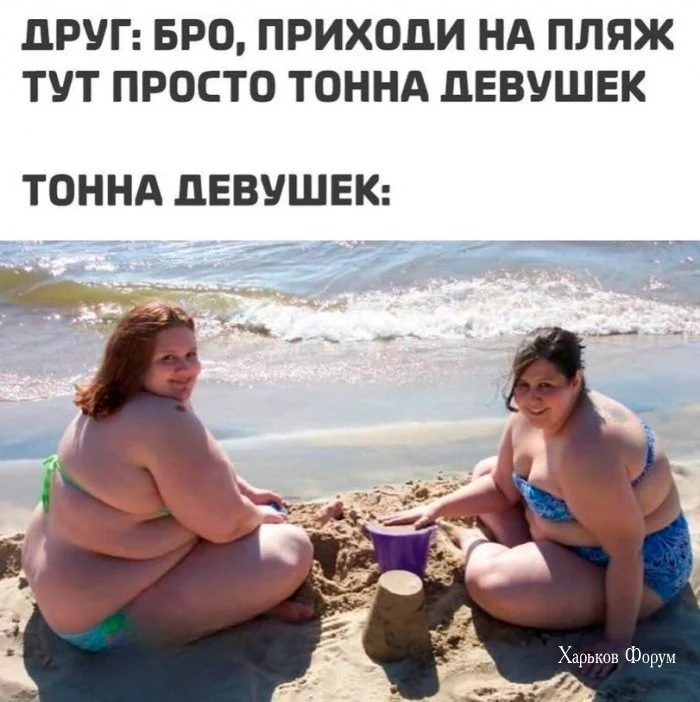 bca5b19e85493cfe24.webp